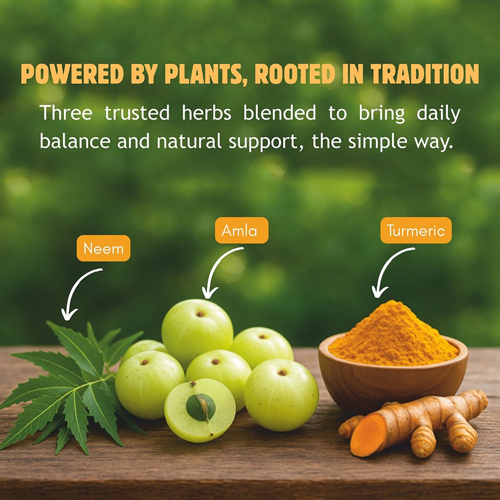 Neem Turmeric Capsules with Amla Powder - Image 3