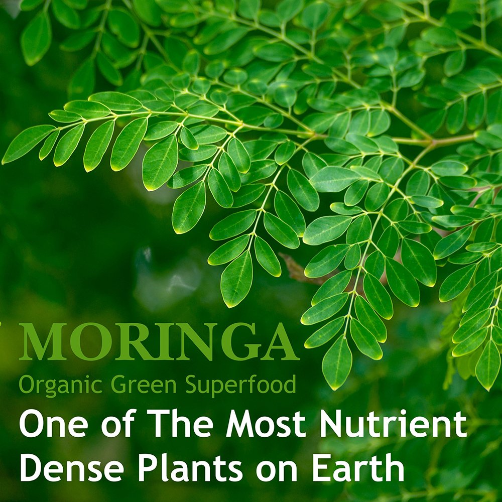 Organic Moringa Capsules - Image 6